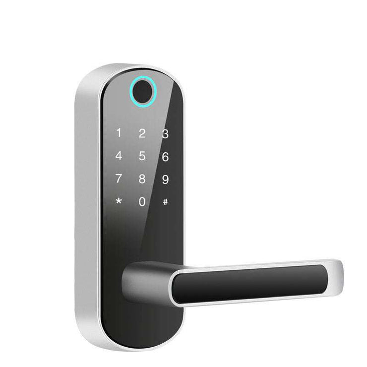 Smart Bluetooth fingerprint lock with keypad, sleek design, ideal for doors.