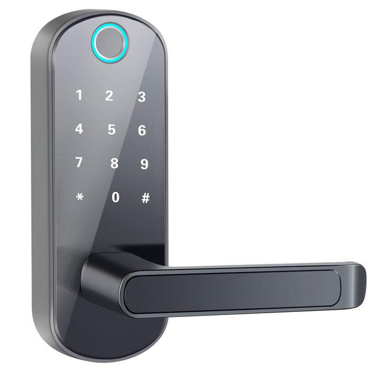 Smart Bluetooth fingerprint lock with keypad and handle, ideal for various doors.