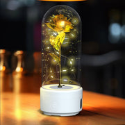 Rose LED light and Bluetooth speaker in glass cover, perfect Valentine's gift.